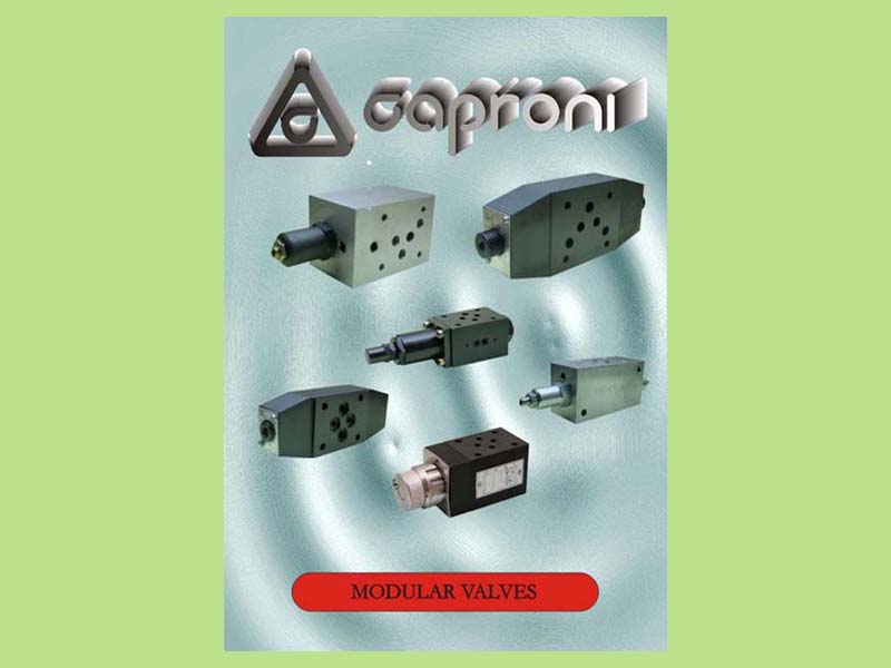 products > Hydraulic valves > Modular valves_我的网站